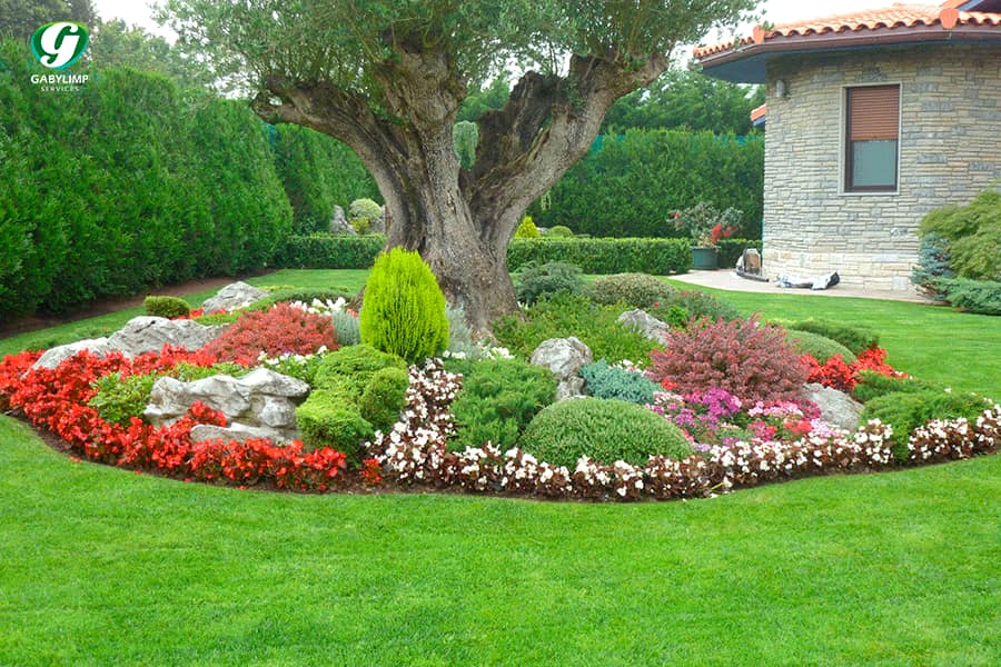 Elacios Gardening & Lanscaping Image